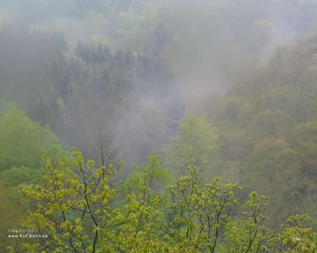 Hellental, Eifel