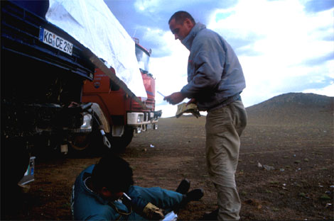 Lastwagen reparieren in der w�ste