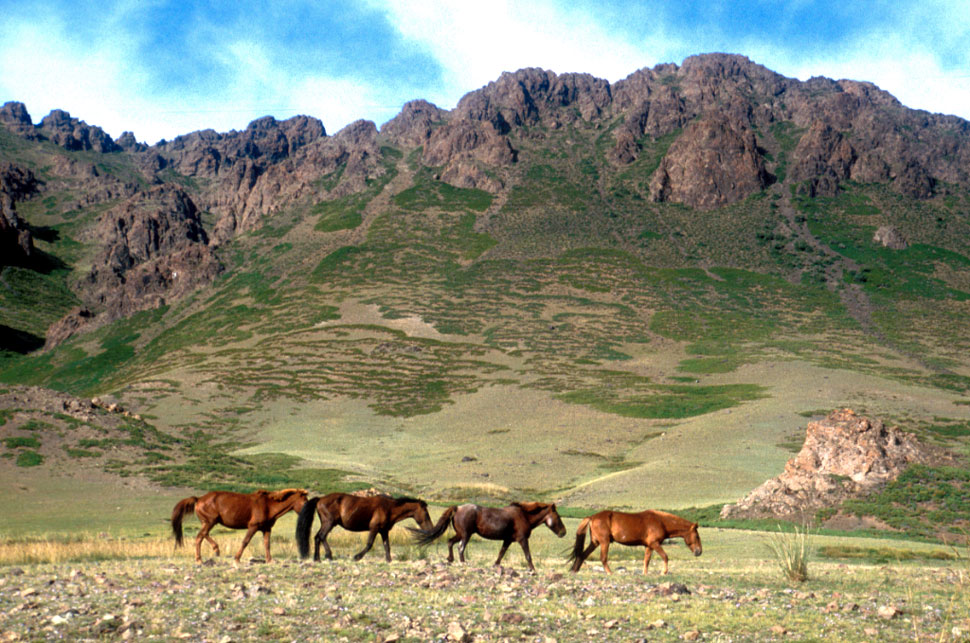 geierschlucht-pferde