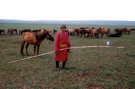 mongolische jurte 