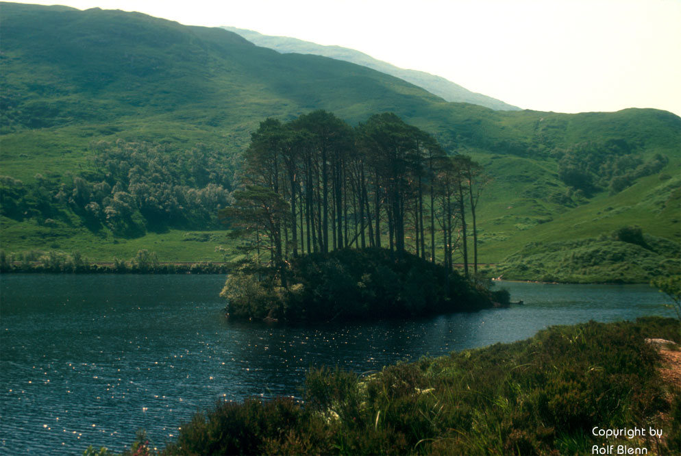 Insel im Loch