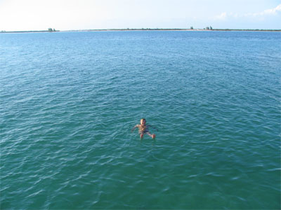 Schwimmer allein im blauen Meer