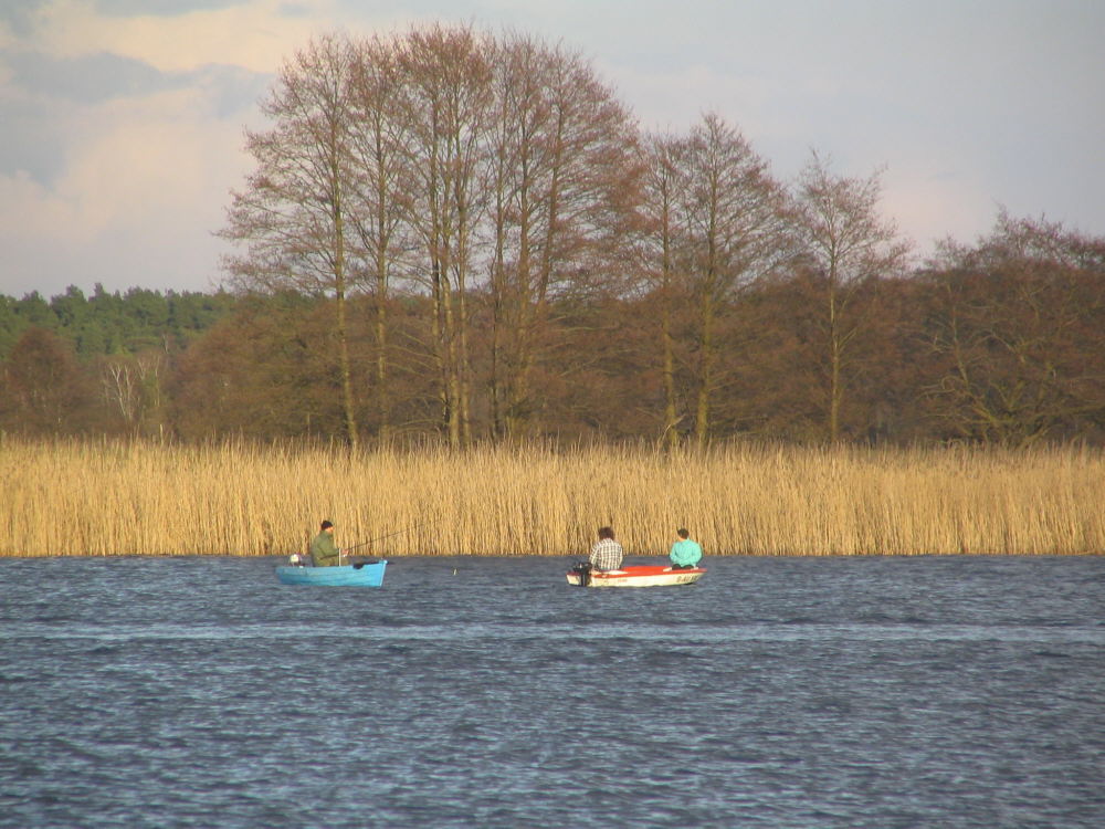 Angler auf der Müritz