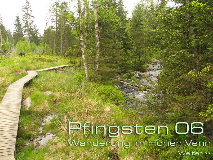 Eifelwanderung im hohen Venn