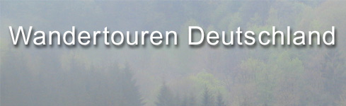 Wandern im Wald