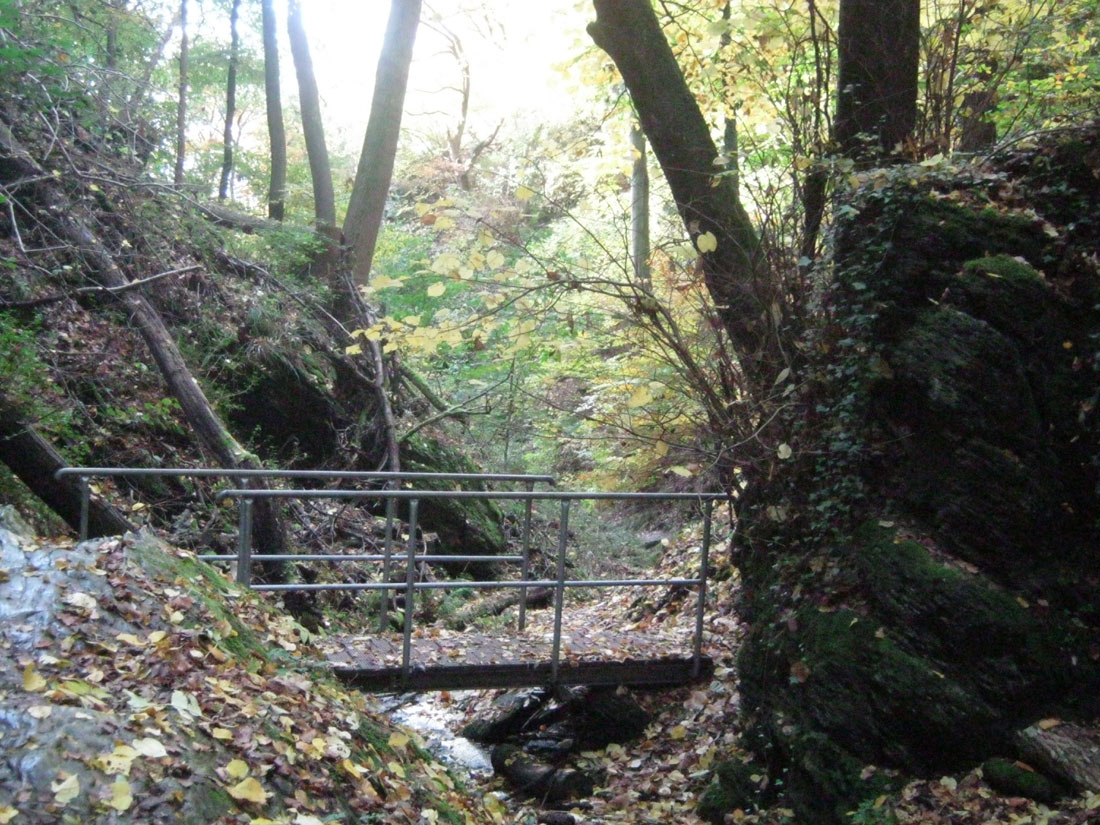 bruecke