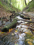 klamm-bach-kl