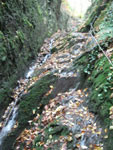 steil-kl