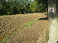 wanderweg_kl