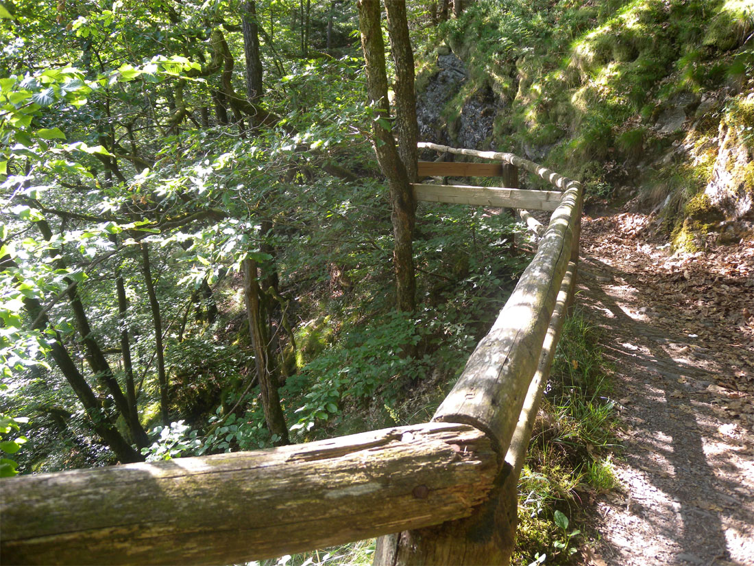 Waldweg