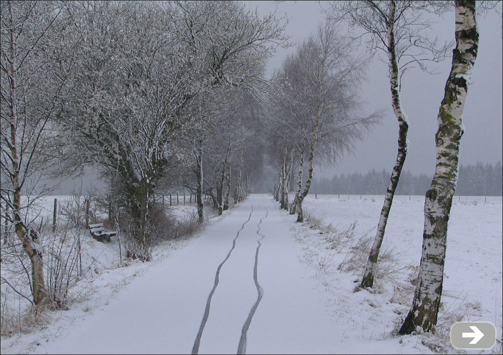 Feldweg im Schnee