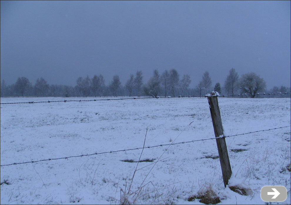 verschneites Feld