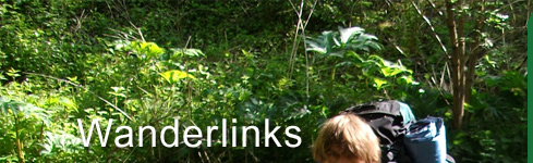 Wandern im Wald